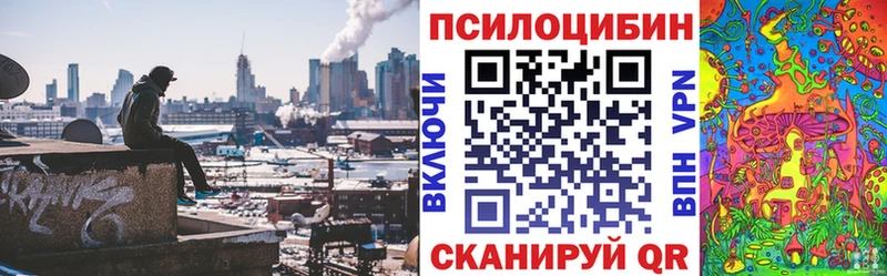Псилоцибиновые грибы Psilocybine cubensis  Шилка 