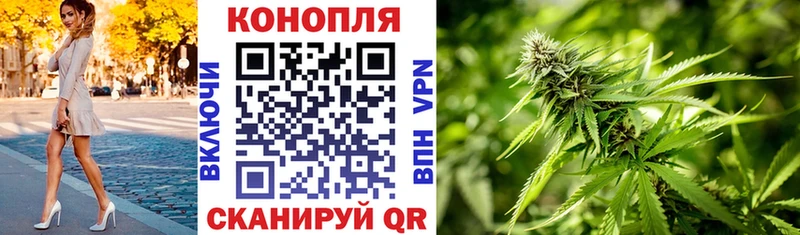 купить наркоту  Шилка  Бошки Шишки SATIVA & INDICA 
